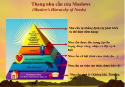 Thuyết Nhu cầu của Maslow và vận dụng thuyết Nhu cầu trong Tham vấn