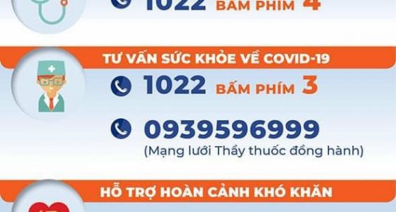 Số đường dây nóng hỗ trợ người dân ở TP.HCM